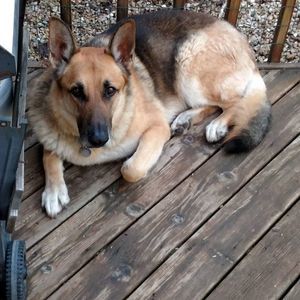 Meet your Posher, Chip